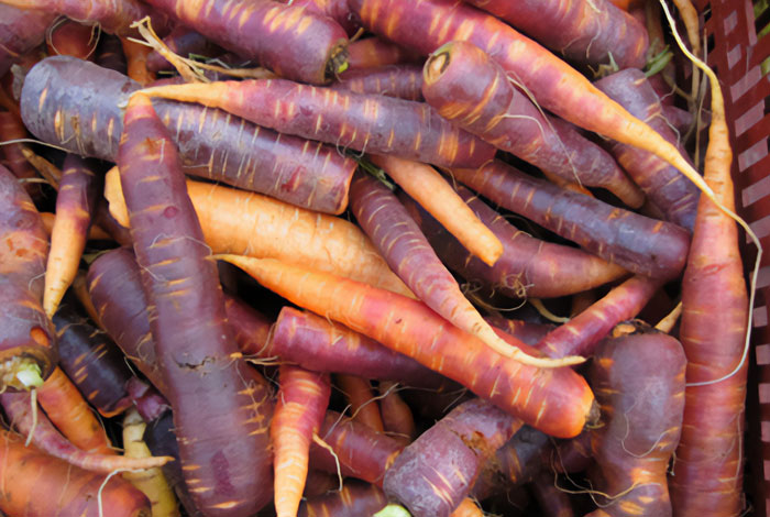 25 curiosidades que te costará creer que son reales