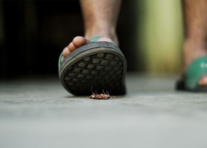 30 Restaurant Secrets We Customers Aren't Supposed To Know