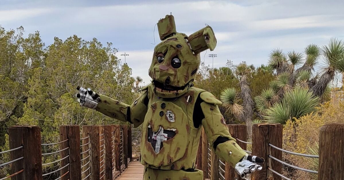 Hey Pandas, Post Your Favorite Picture From Halloween In 2022 (Closed)