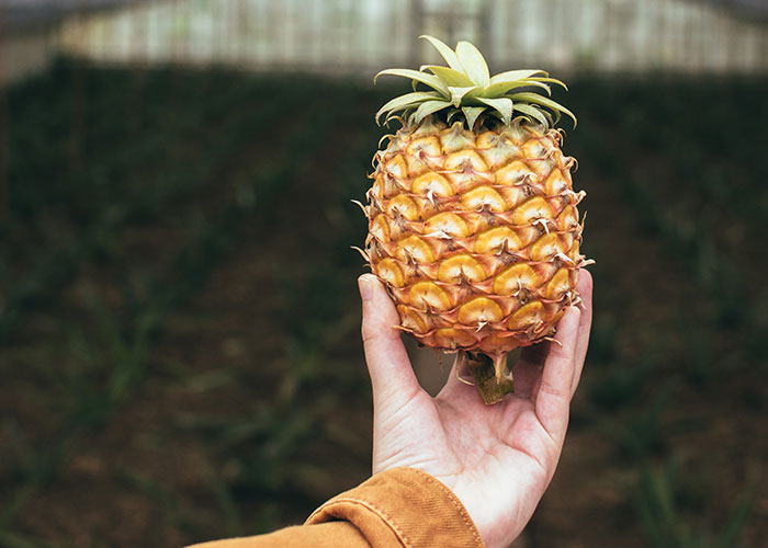 27 Things People Claim Do Not Need To Be Refrigerated