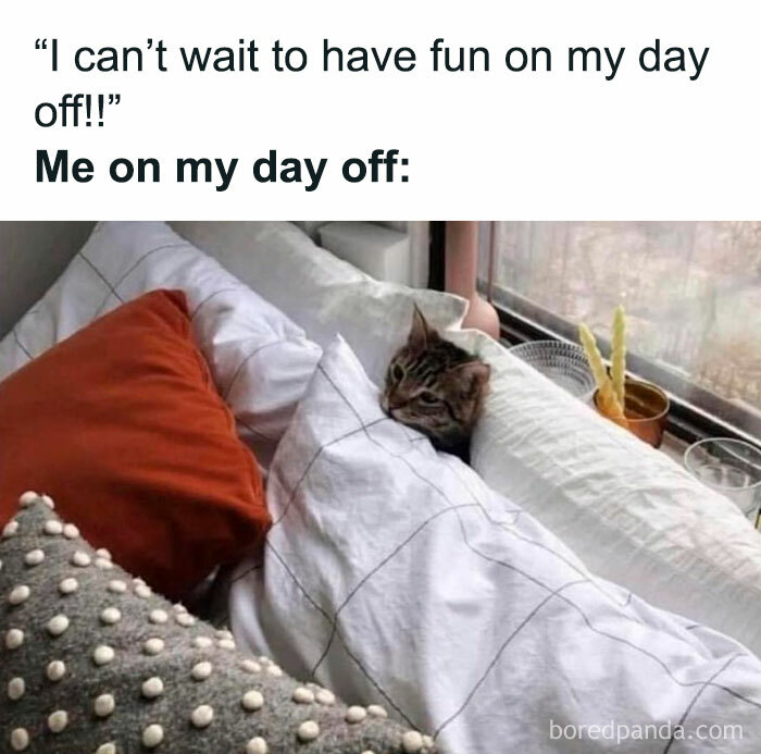 Freud-Intensifies-Memes