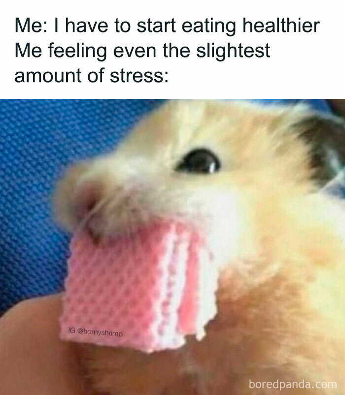 Freud-Intensifies-Memes