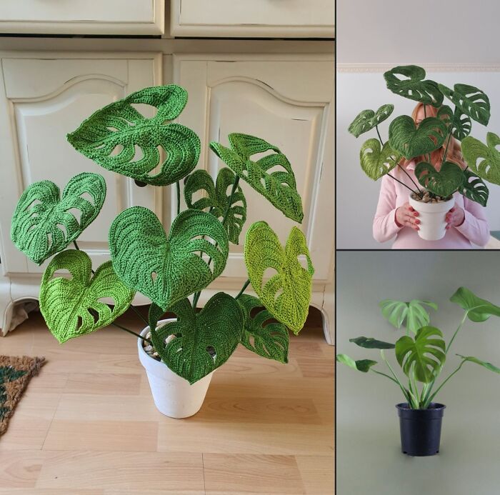 Crochet Myself A Monstera Plant That Won't Die