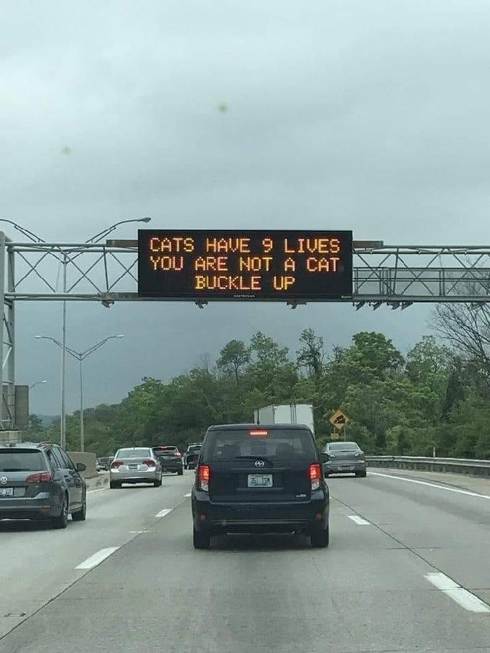 Funny-Bad-Drivers-Memes