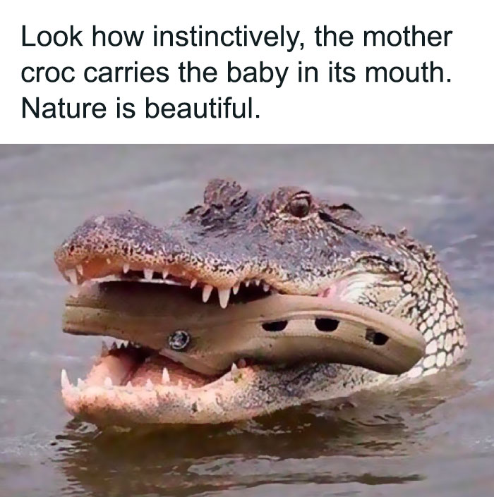 Funny-Bad-Science-Jokes-Memes