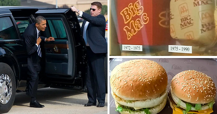 50 Times People Spotted ‘Absolute Units’ And Just Had To Share Pics With This Online Group (New Pics)