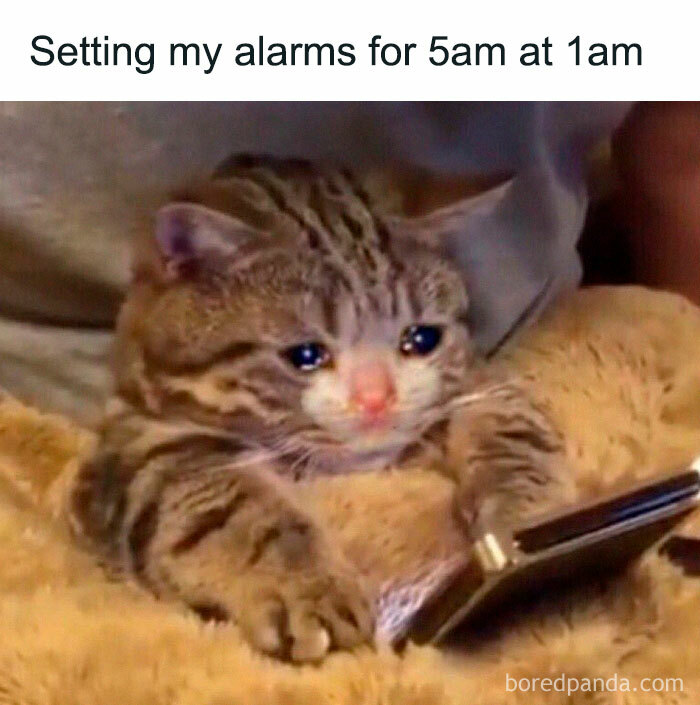 Funny-Questionable-Tweets