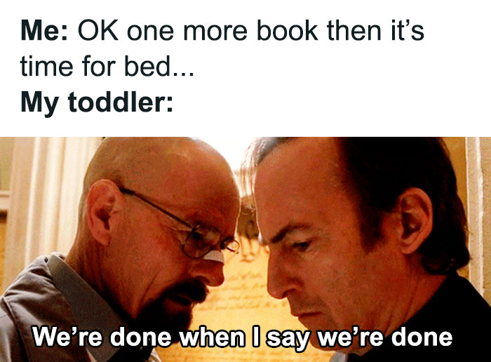 Who Is The Boss Here?!