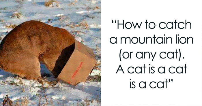 This Facebook Group Is All About “Science Humor”, Here Are 50 Of Their Most Hilarious Posts (New Pics)