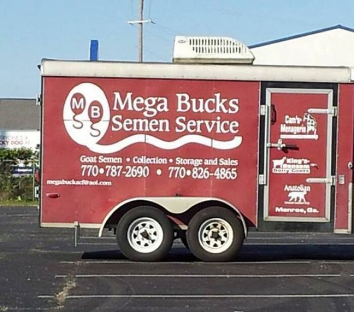 Funny-The-Absurd-Sign-Project