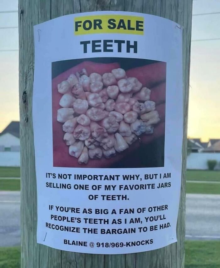 Funny-The-Absurd-Sign-Project