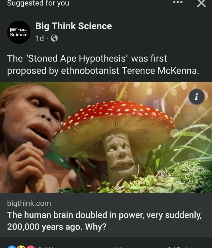 Funny-Useless-Commercial-Fails