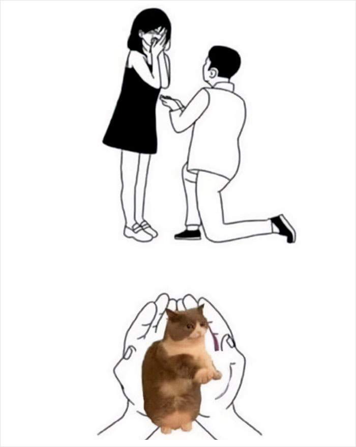 Cartoon proposal scene with a cat in hands, illustrating a wholesome meme.