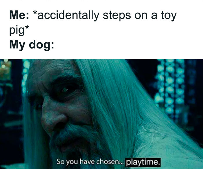 Wholesome meme featuring a scene with a white-haired man, captioned about stepping on a toy pig amusingly engaging a dog.