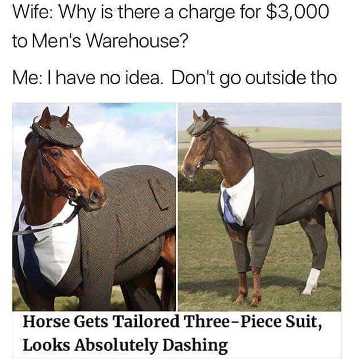 Horse wearing a tailored suit and cap, part of a collection of wholesome memes on a popular Twitter account.