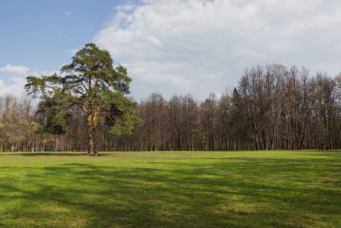 Russia Has 11.0% Of The Earth's Landmass