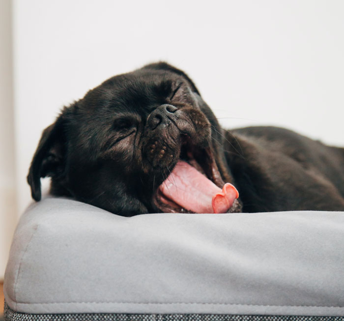 Get At Least Eight Hours Of Sleep Every Night, And Take Careful Care Of Your Sleeping Habits