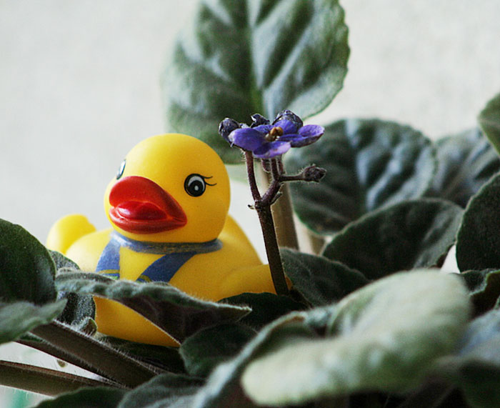 "A Tiny Piece Of Masking Tape Over A Coworker's Mouse Laser": 35 People Share Genius Yet Harmless Ways To Prank Others