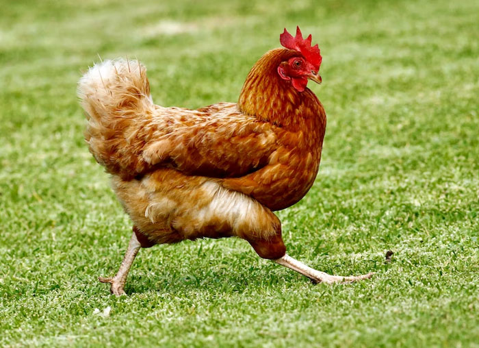 "A Tiny Piece Of Masking Tape Over A Coworker's Mouse Laser": 35 People Share Genius Yet Harmless Ways To Prank Others