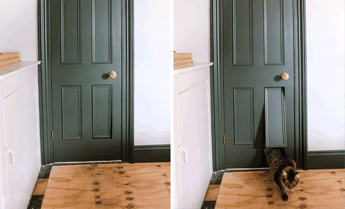Entryway With A Secret Underlying Kitty Entryway