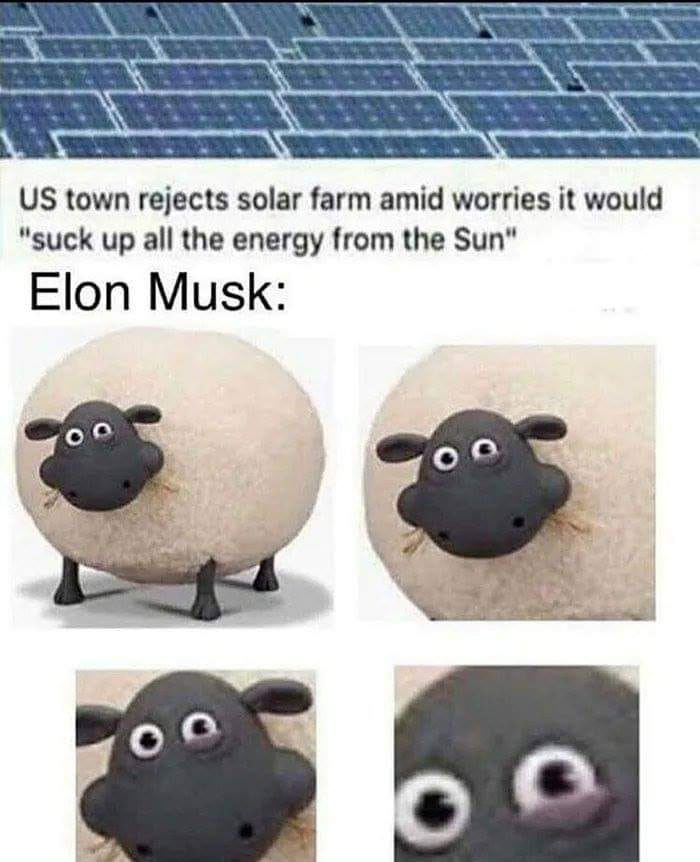 Hilarious-American-Memes