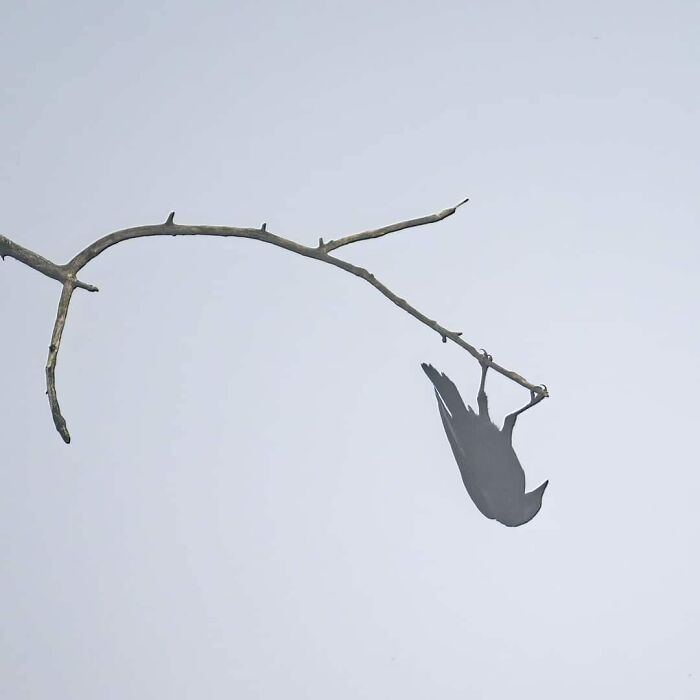 Well It Was A Very Foggy Day