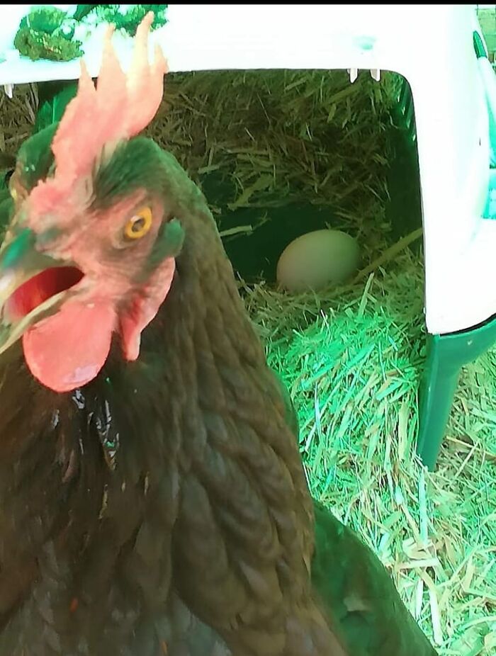 My Photo Must Have Been Really Crap Because It Wasn't Approved