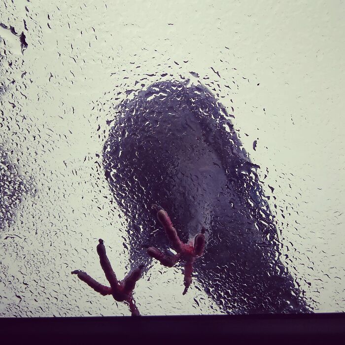 He Surprisingly Didn't Crap