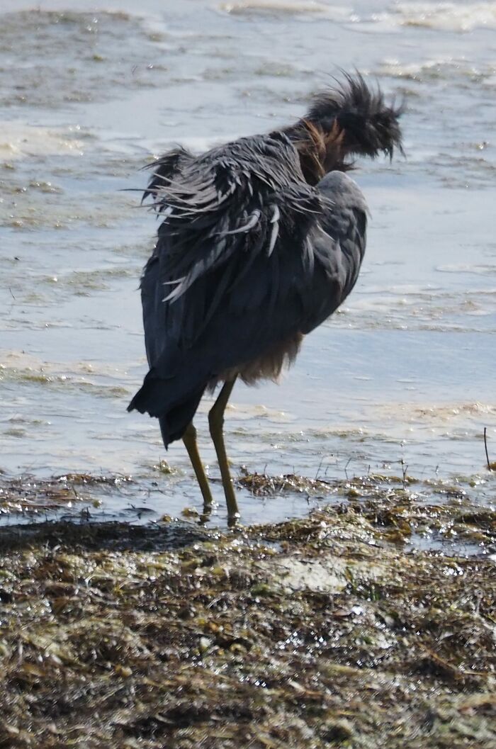 We All Have Days Like This