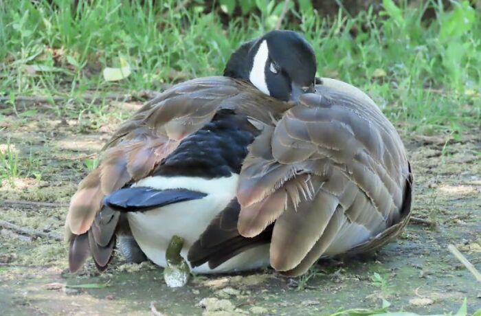 I Thought This Was A Pretty Pic Till I Had A Closer Look