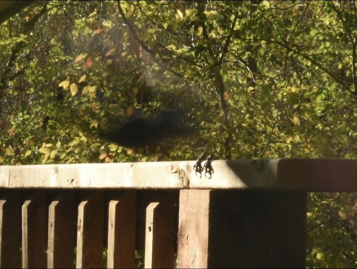 And Just Like That, The Blurd Just Turned Into A Ghost!