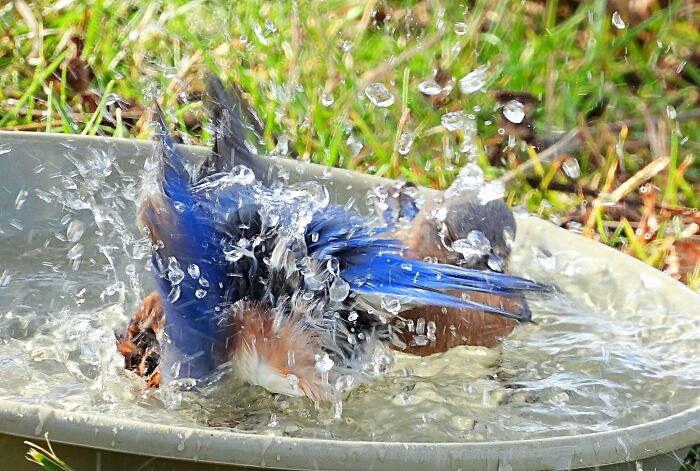 Dad And His Daughter Had A Kerfuffle Or A Commotion, Disruption, Disturbance, Flutter, Hoo-Ha, Hoo-Hah, Hurly Burly, Or A To-Do. It Was Upsetting