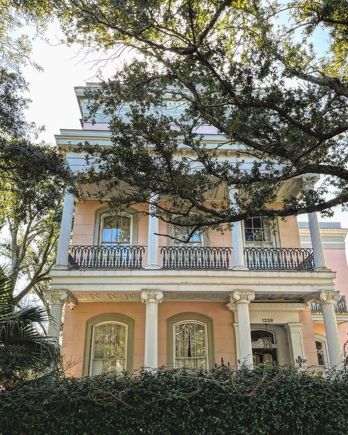 The Lower Garden District