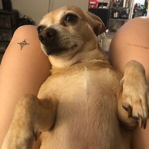 heather_rabago avatar