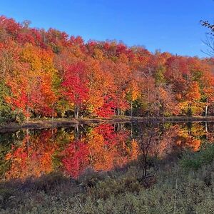 mlaporterocky avatar