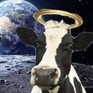 flippyflipflop78 avatar