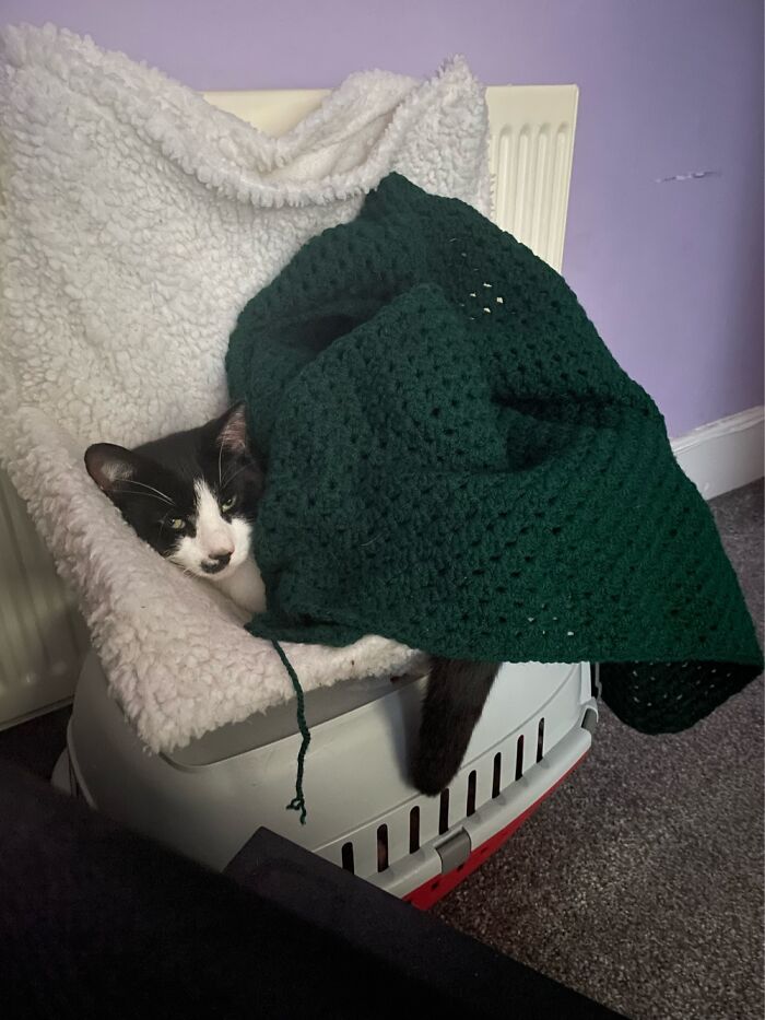 Barney All Tucked In