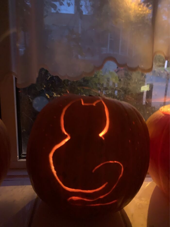 My First Time Posting To Bored Panda! My Cat Pumpkin!