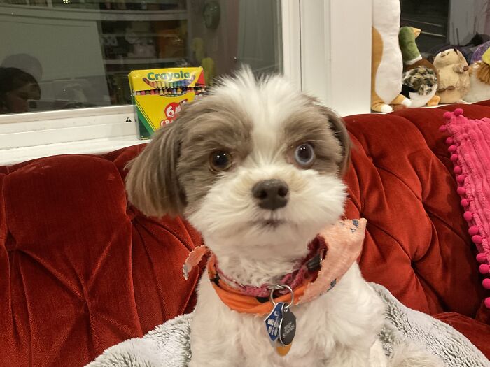 My Hairy Baby For Seven Years