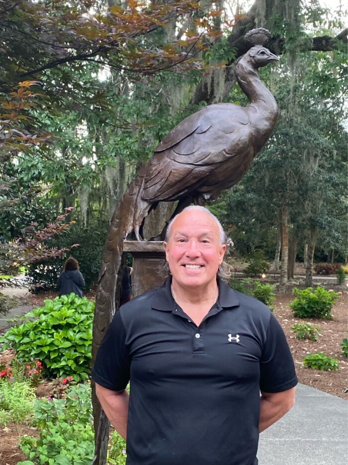 Which Is The Peacock