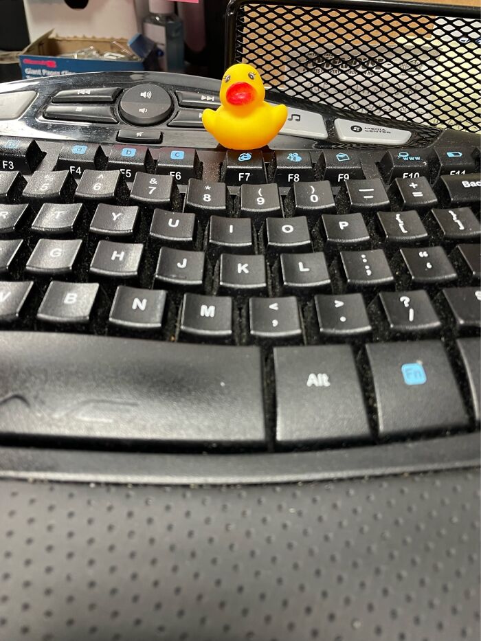 Still At Work. Meet Doucklous