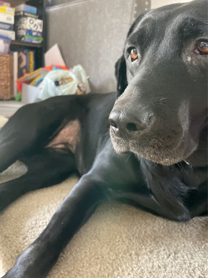 With My Sweet Dog😻😻