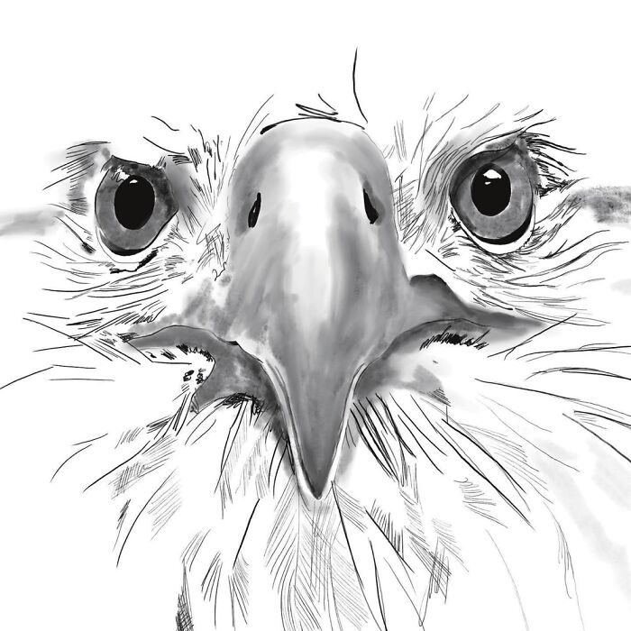 Eagle