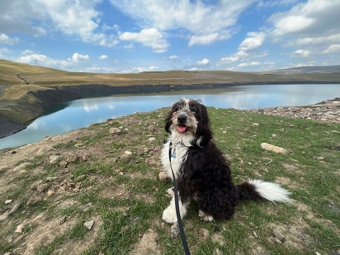 Just A 10 Minute Walk From Home, Cwmllynfell, Swansea