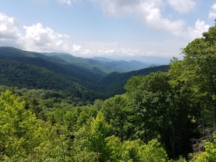 All The Trails In The Smoky Mountains!