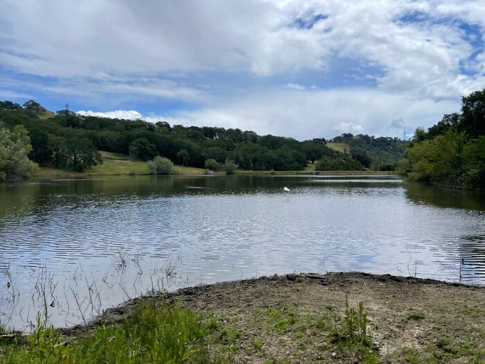 Some Wheelchair Access