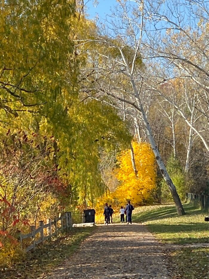 Eglinton Flats Toronto. Easy Walking For Me. I Need A Cane