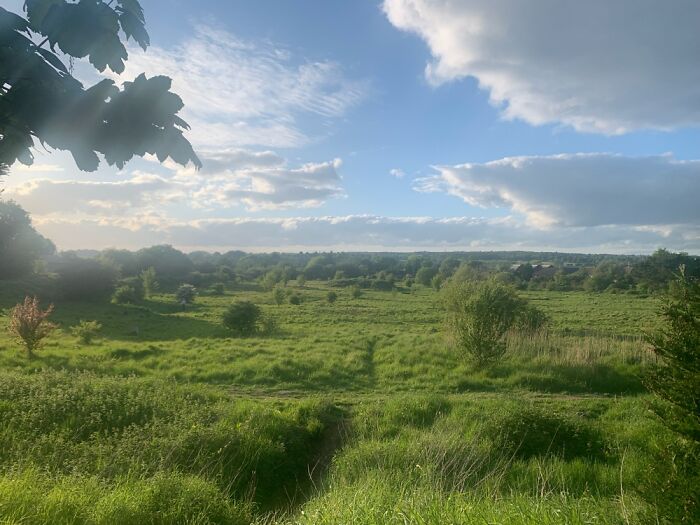 It’s Not Fancy Or Special. It’s Just The Field Behind My Home… English Countryside