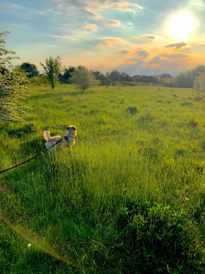 Any Place I Get To Explore With My Pooch ❤️ But This Is My Favourite