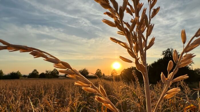 My Daily Walk In Autumn Near My Flat
